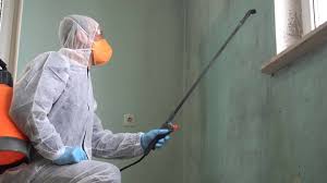 Professional Mold Removal Services in Vardaman, MS